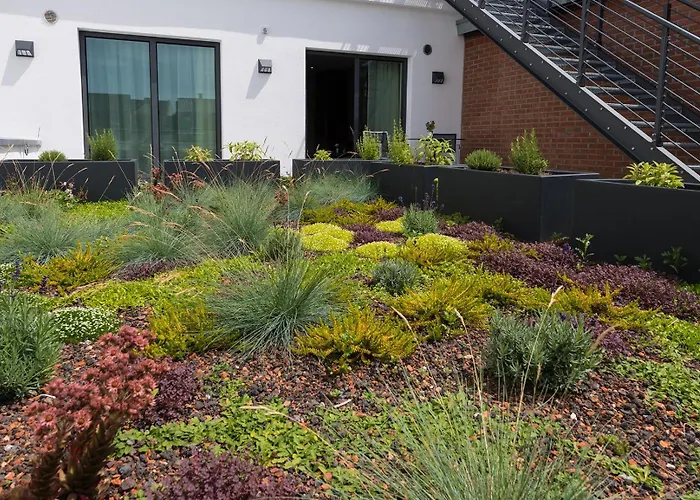 酒店 Am Fischmarkt 3*